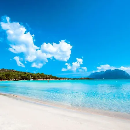 Lubiana Apartment Olbia