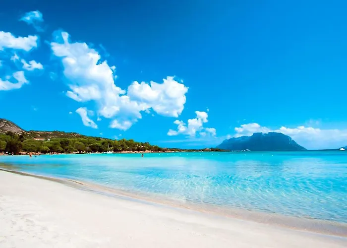 Lubiana Apartment Olbia